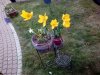 IMG_20150509_174647.jpg