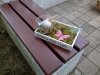 IMG_20150509_174729.jpg