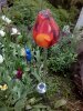 IMG_20150509_175009.jpg