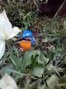 IMG_20150509_175026.jpg
