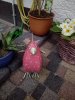 IMG_20150509_175310.jpg