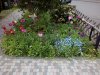 IMG_20150509_175401.jpg