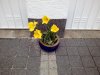 IMG_20150509_175436.jpg