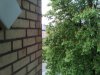 IMG_20150504_152100.jpg