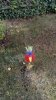 IMG_20150621_181653.jpg