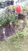 IMG_20150621_181719.jpg