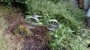 IMG_20150621_181738.jpg