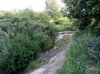 IMG_20150531_005600.jpg