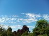 IMG_20150803_133954.jpg