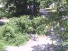 IMG_006.jpg