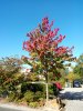 IMG_20151002_131828.jpg