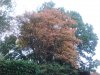 2015-10-05 11.06.02.jpg