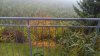 IMG_20151102_102716 SMALL50- 0009.jpg