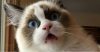 CI0ckMh.png