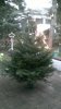 WIN_20151221_16_22_49_Pro.jpg