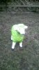 WIN_20151221_16_23_18_Pro.jpg