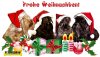 Weihnachten-11.jpg