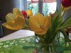 IMG_20160207_122501.jpg