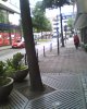 img007.jpg