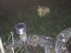 IMG_20160301_185022.jpg