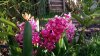 IMG_20160421_141732.jpg