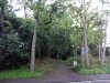 IMG_20160621_211258.jpg
