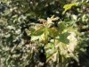 IMG_20160624_164000.jpg