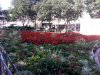 IMG_20160624_174208.jpg