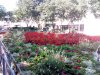 IMG_20160624_174221.jpg
