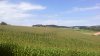 IMG_20160730_112722.jpg