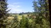 IMG_20160730_112757.jpg