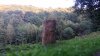 IMG_20160909_144525_STEREO.jpg