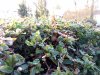 IMG_20170106_165834.jpg