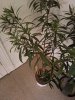 IMG_20170314_073054.jpg