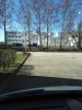 IMG_20170327_134516.jpg