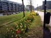 IMG_20170404_103242.jpg