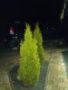 IMG_19700207_113733.jpg