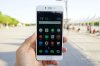 9144065_meilan_thumb.jpg