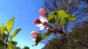 IMG_20170430_154243_HDR.jpg