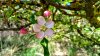 IMG_20170430_154926_HDR.jpg