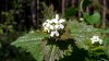 IMG_20170430_161038.jpg