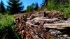 IMG_20170430_164352_HDR.jpg
