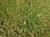 IMG_20170427_153655.jpg