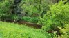 IMG_20170428_104920.jpg