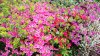 IMG_20170428_105024_HDR.jpg
