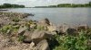 IMG_20170509_114025.jpg