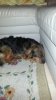 IMG-20140806-WA0010.jpeg