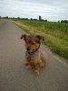 IMG_20170610_175801.jpg