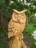 IMG_20170617_162949.jpg