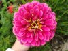 IMG_20170617_164005.jpg